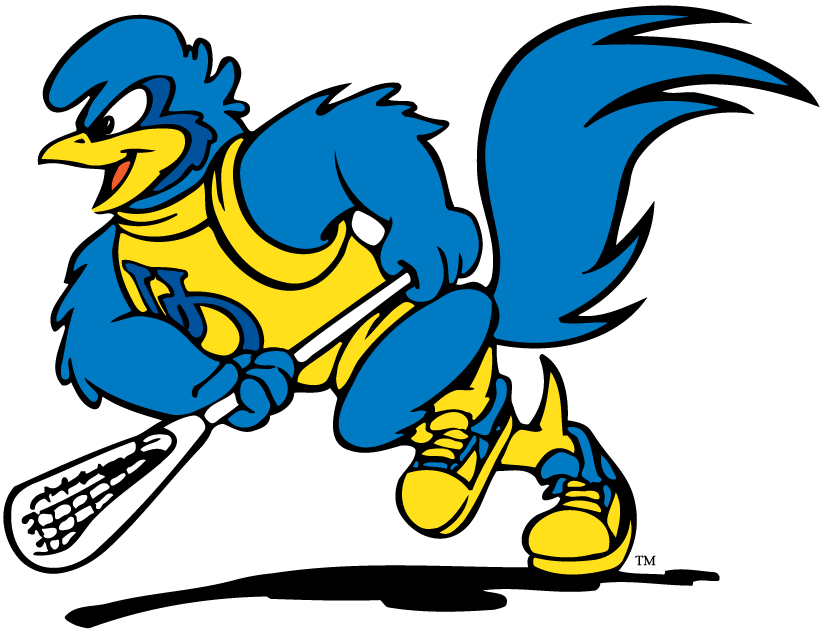 delaware blue hens 1993-pres mascot logo v4 diy DTF decal sticker